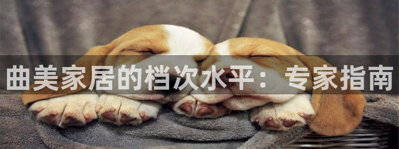 ug环球买代理
