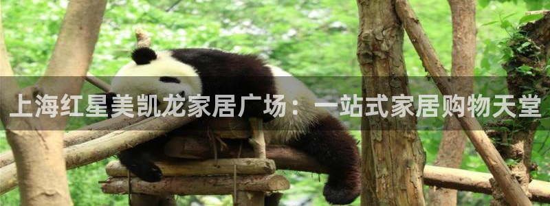 Ug环球网网址