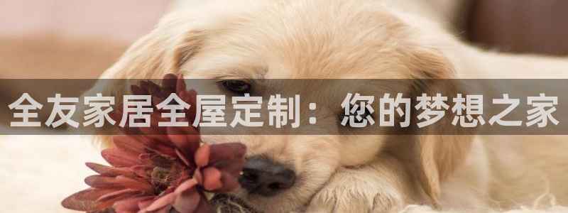 ug环球官网开户