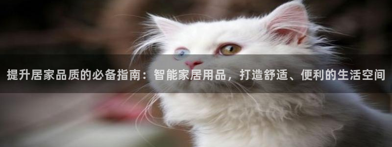 ug环球包杀网一比一