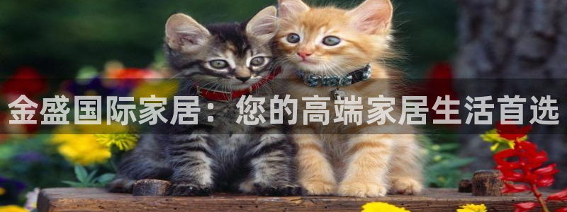 ug环球登录