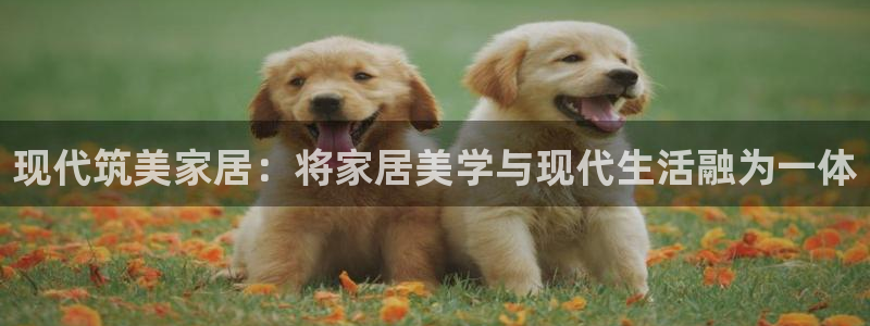 ug环球官网会员注册