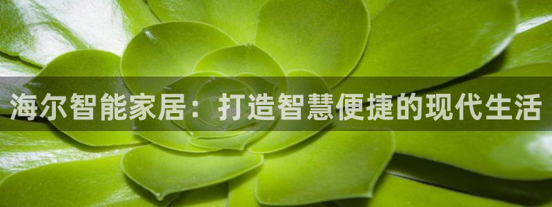 ug环球官网注册