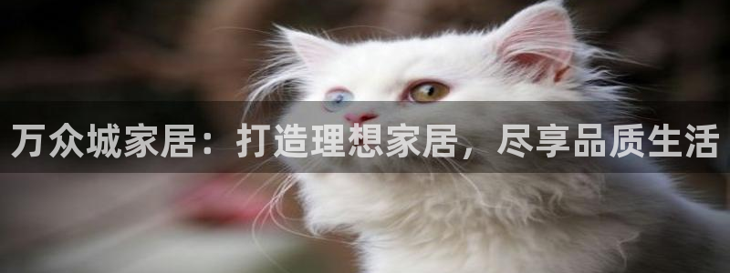UG环球官网