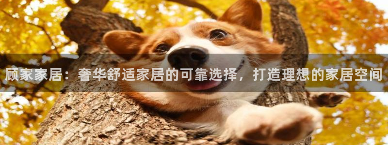 环球国际ug