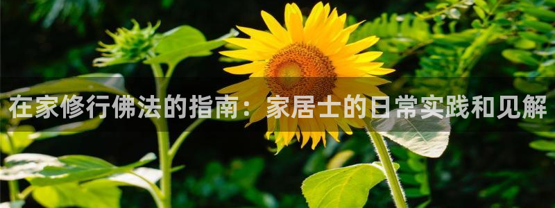 ug环球网站