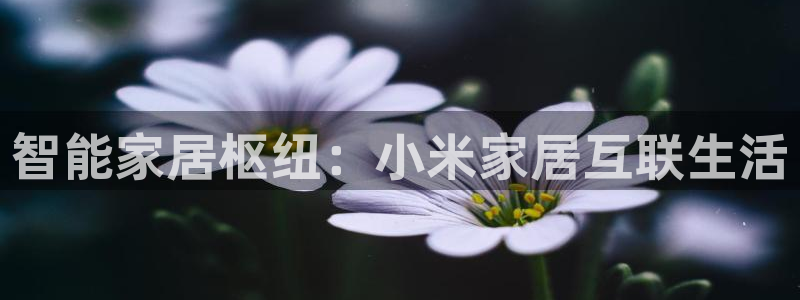 ug环球视讯充值