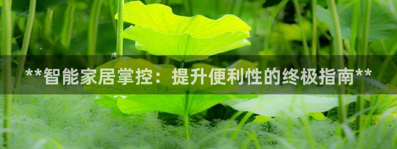 ug环球官网登录