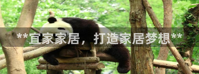 ug环球买分卖分