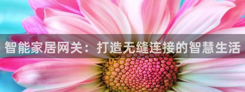 环球国际ug