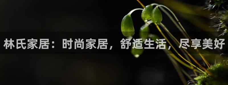ug环球官网在线