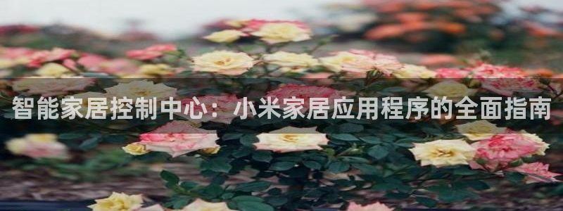 ug环球视讯