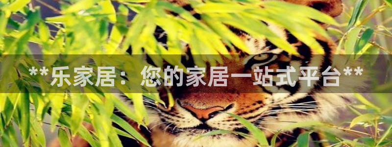 ug环球买分卖分