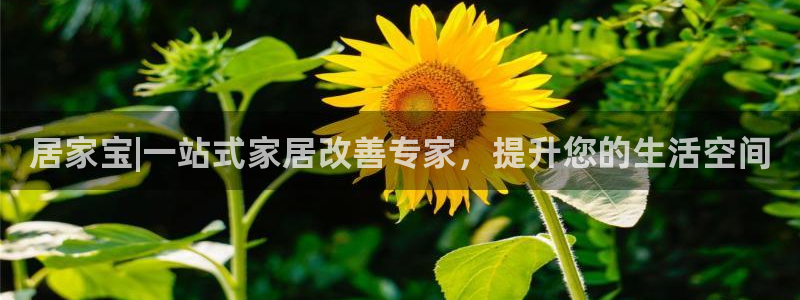 ug环球密码重置是多少位数