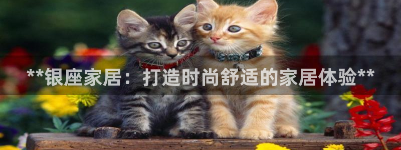 UG环球国际在线