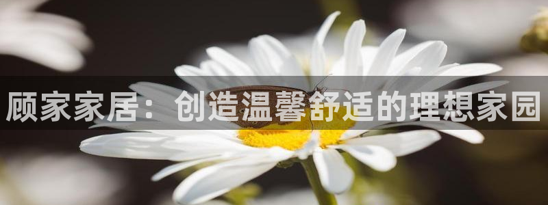 ug环球会员开户