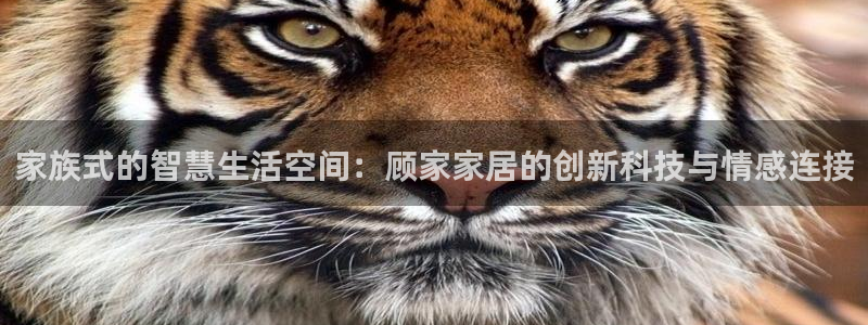 Ug环球私网一比一