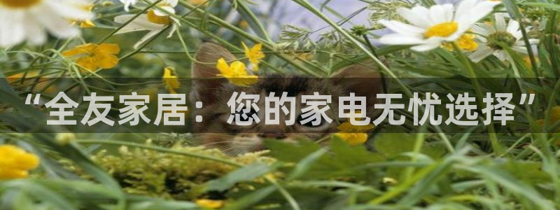 ug环球会员手机版下载官网