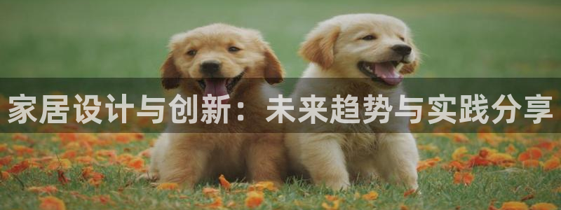 ug环球游戏网站官网