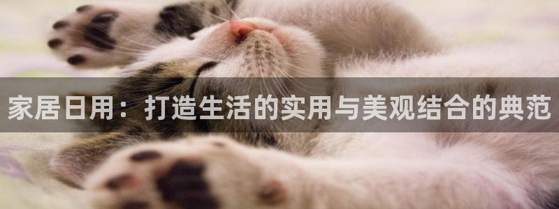 ug环球官网开户