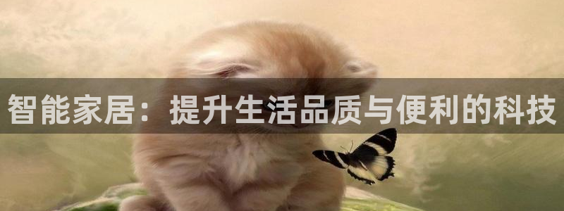 UG环球代理合作