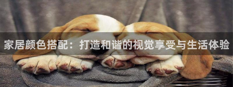 ug环球正网买分
