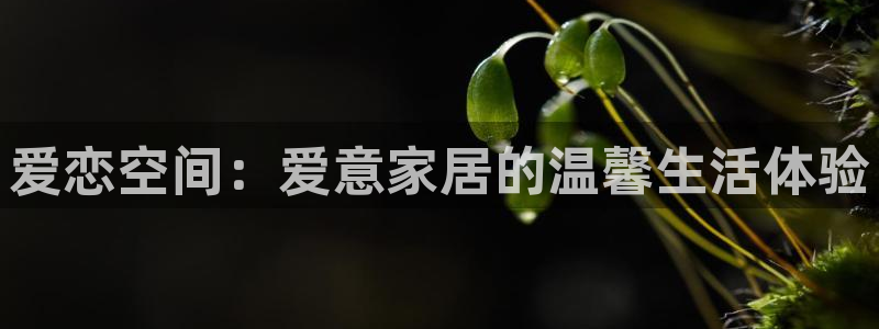 UG环球国际在线