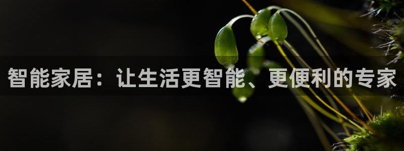 ug环球代理平台