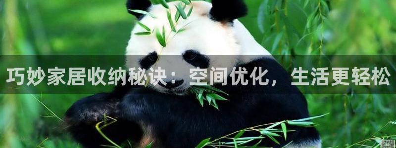 ug环球官网注册会员