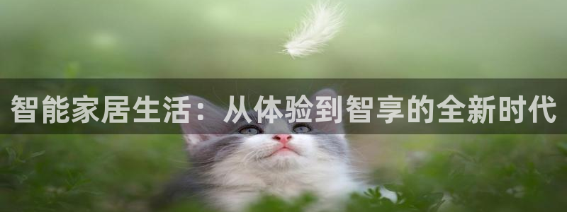 ug环球会员手机版下载官网