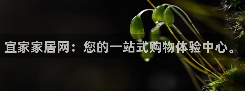 ug环球视讯真假