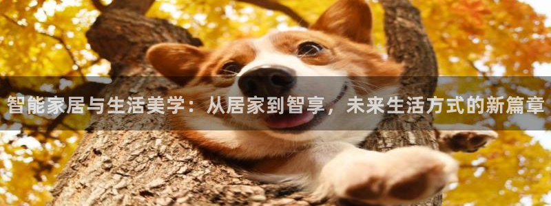 ug环球会员注册开户