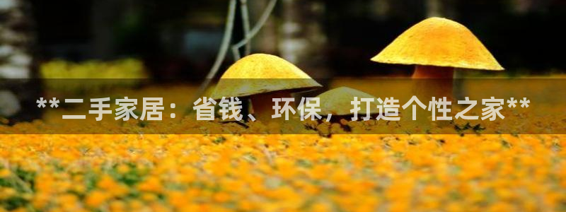 ug环球代理开户