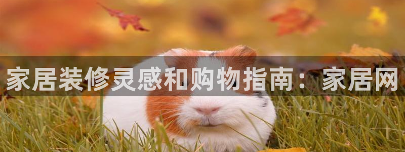 ug环球在线注册