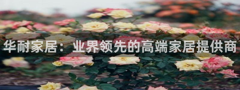 ug环球视讯手机版官网