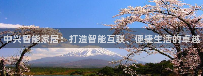 ug环球正网包杀