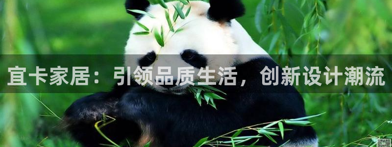 ug环球会员官网