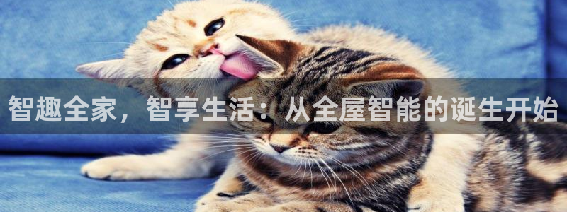 ug环球假网一比一