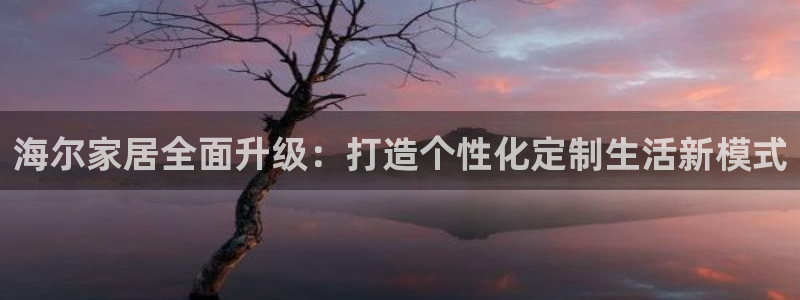 ug环球下载：海尔家居全面升级：打造个性