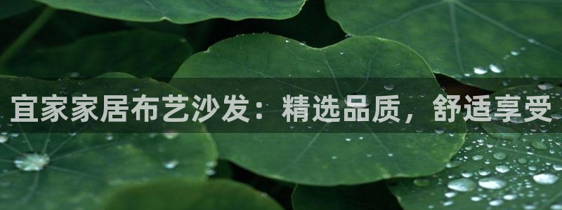 UG环球会员官方