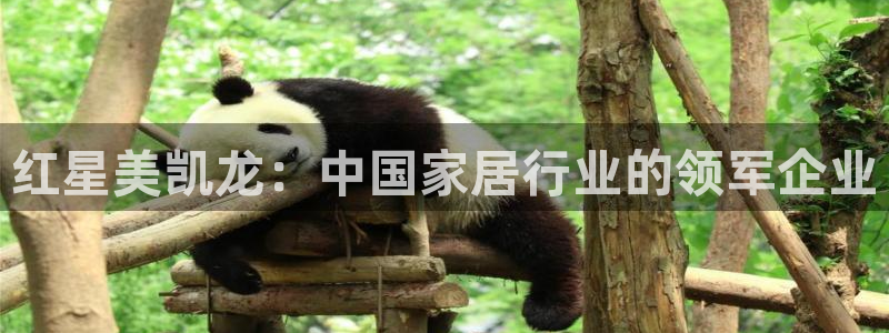 ug环球官网登录