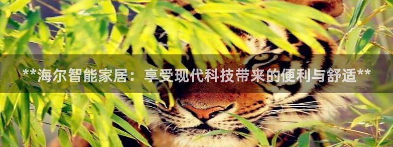 ug环球会员注册登录