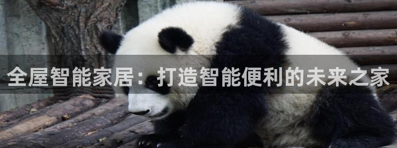 ug环球会员注册登录