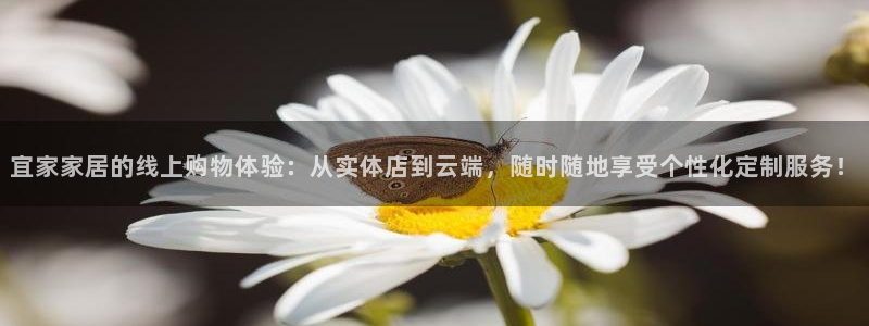ug环球官网登录入口