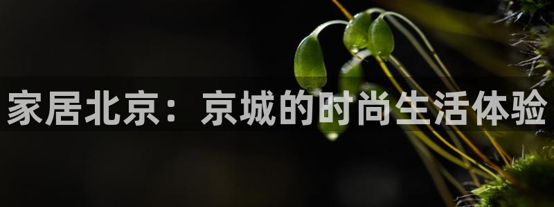 ug环球官网注册