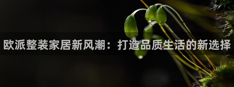 ug环球官网会员注册