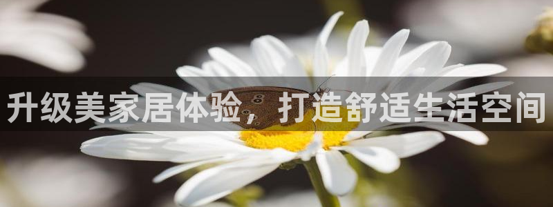 ug环球正网开户