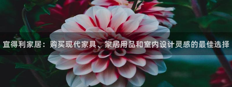 ug环球官网注册