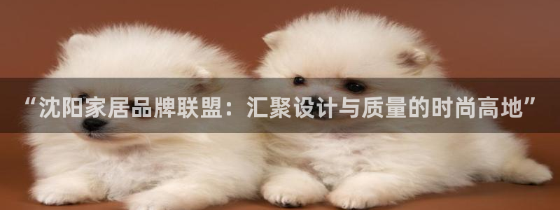 ug环球视讯真假