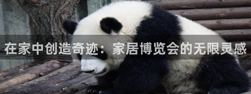 UG环球国际在线